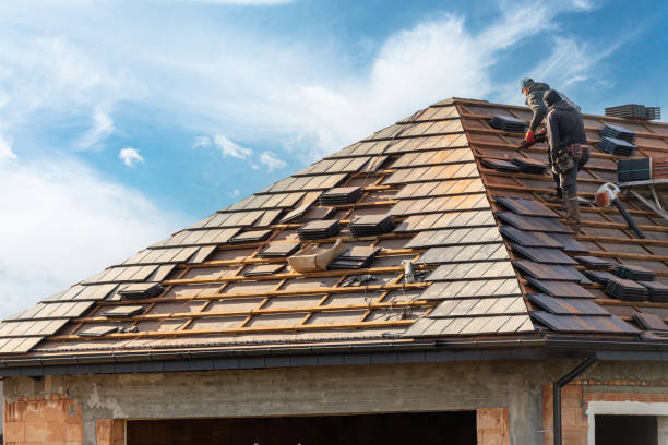 Best Asphalt Shingles Roofing  in Amory, MS